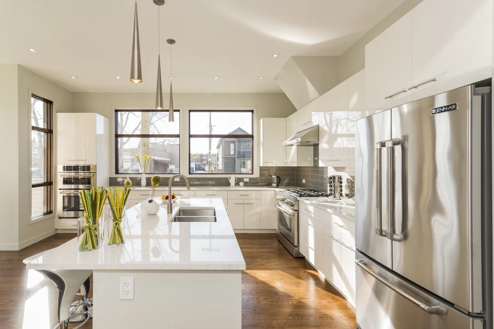 A modern kitchen kept pest-free